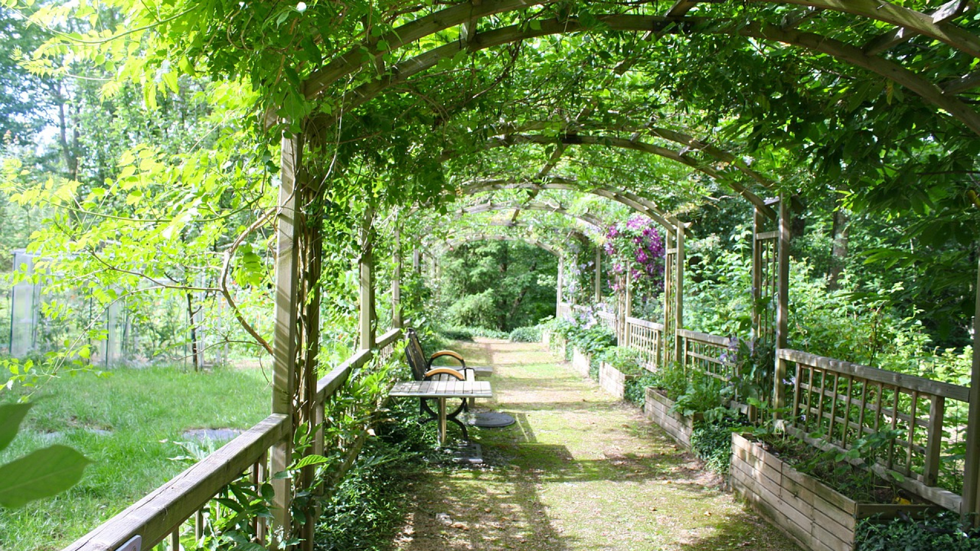 Trois tendances de jardin pour cet été